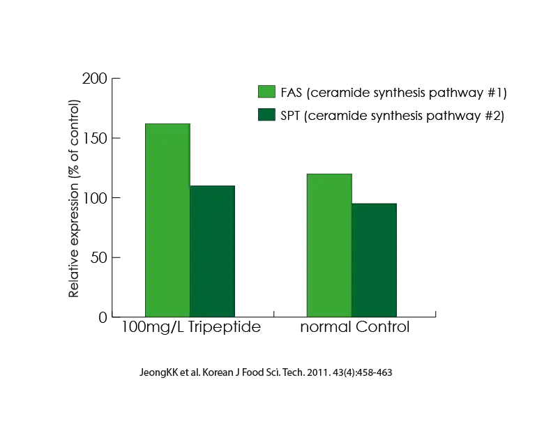 MORIKOL GRAPH 3