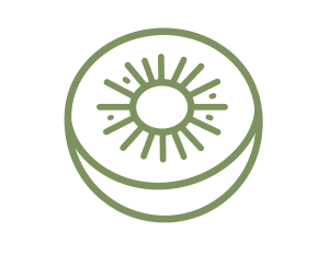 Minimalist monochrome line art icon of a kiwifruit, simple outline style, vector