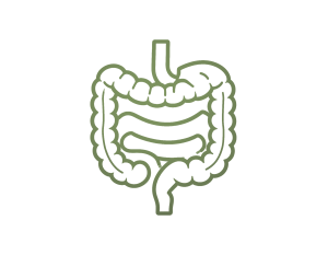 Minimalist monochrome line art icon of a human gut, simple anatomical outline