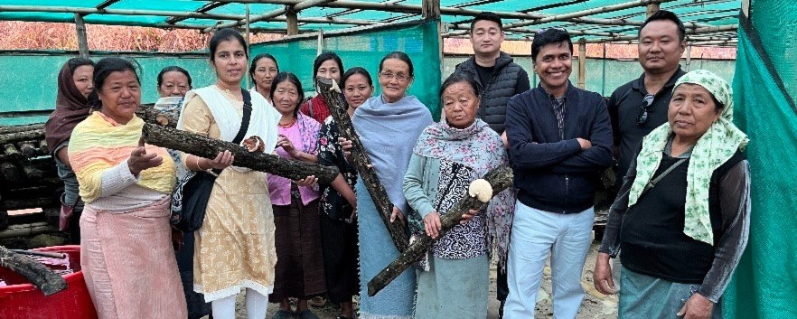 comunità indiana con agricoltura di funghi shiitake vitamina b12