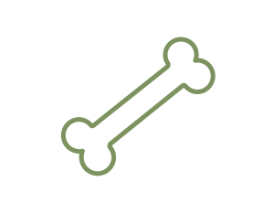 Minimalist monochrome line art icon representing simple bone, clean white background