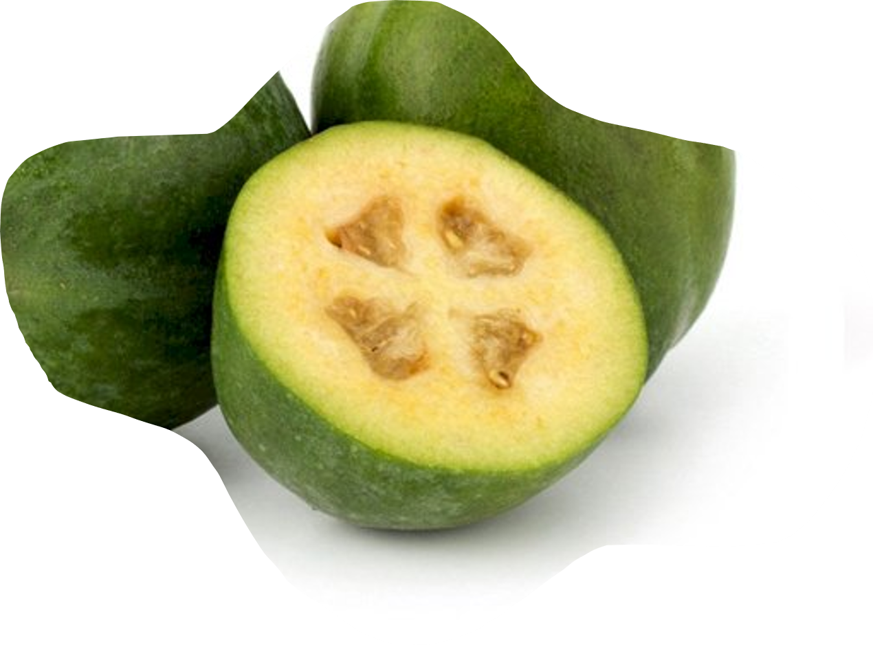 poudre naturelle de fruits de feijoa feiolix