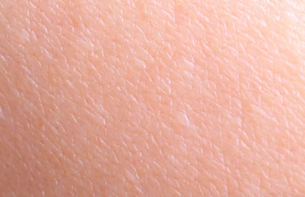 skin epidermis macro and zoom