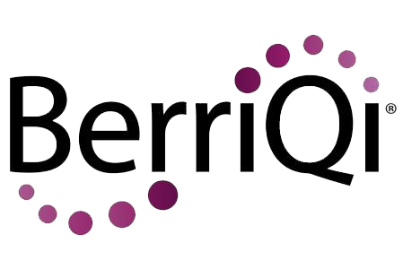 logo berriqi