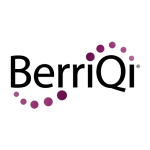 logotipo de berriqi
