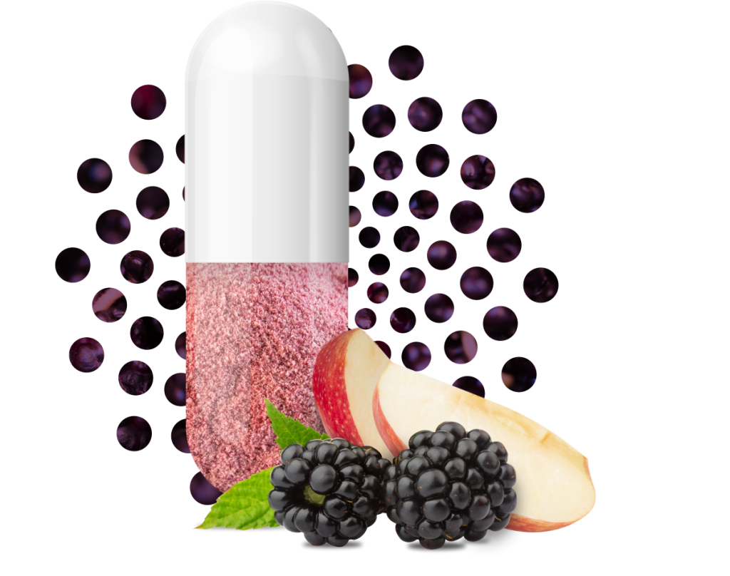 Berriqi con moras de Boysen y cápsula de manzana