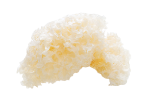 Hongo Tremella fuciformis orgánico