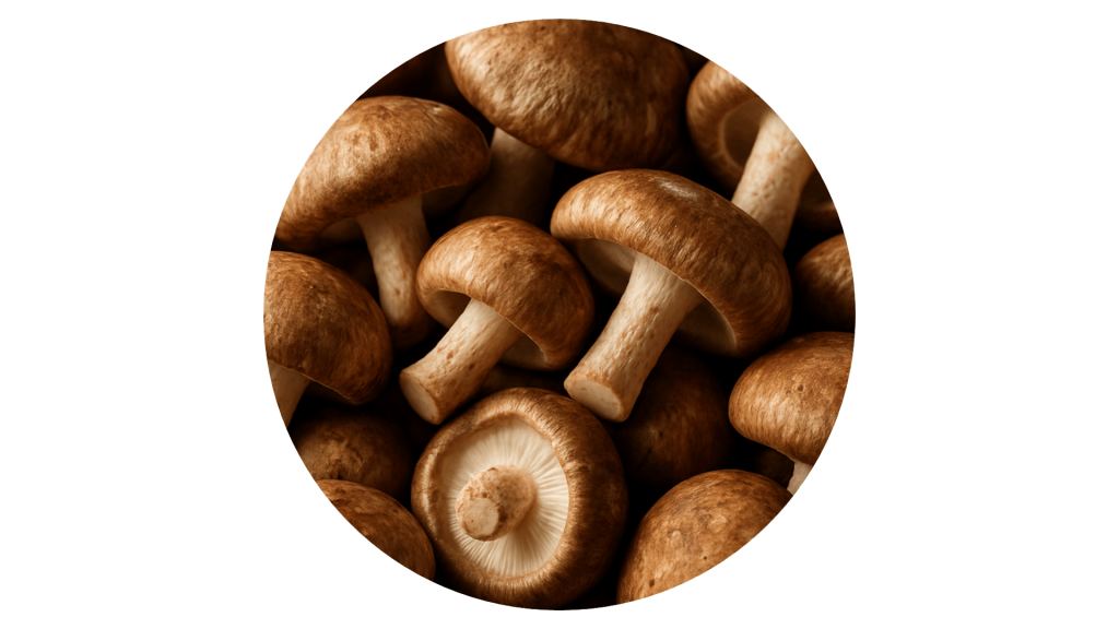 Vitamine B12 - shiitake