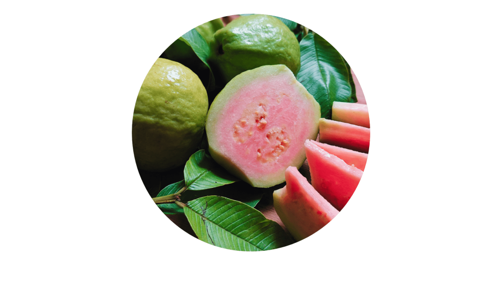 zinc - feuilles de goyave