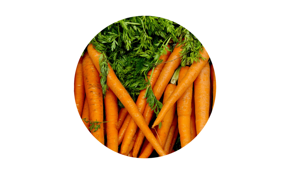 vitamine A - carottes