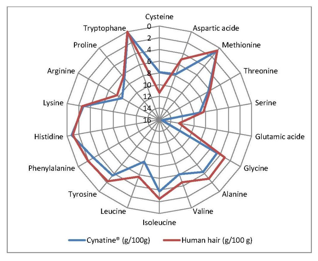 Aminogramme Cynatine VS Cheveux