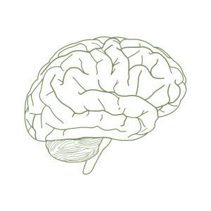 icon brain minimalist