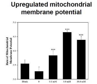 upregulated mitochondrial membrane potential ergothioneine