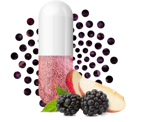 ボイセンベリーとリンゴのカプセル入りベリーキ