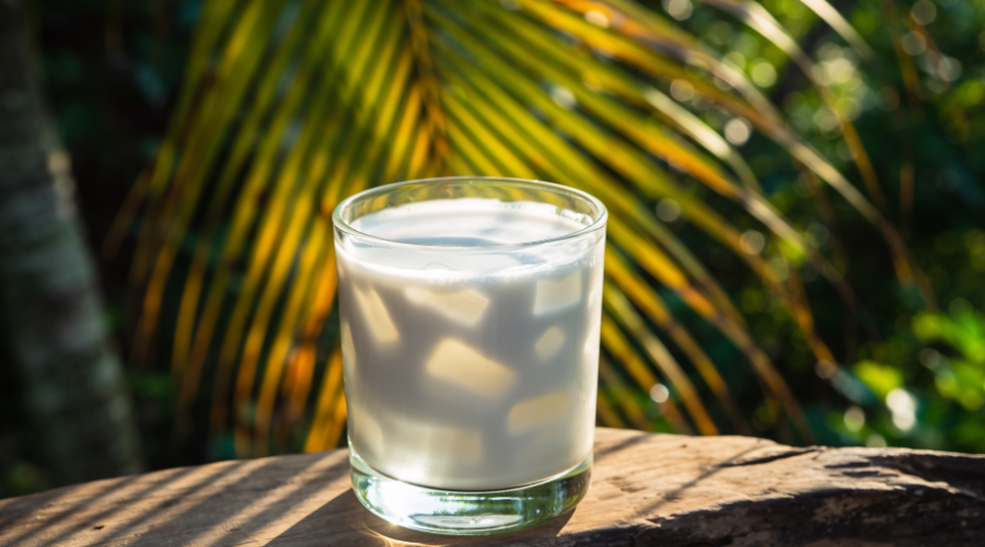 Cocofib prebiotic solubilite_Boisson blanche auf Basis von Kokosplutôt épaisse in einer natürlichen und leuchtenden Atmosphäre