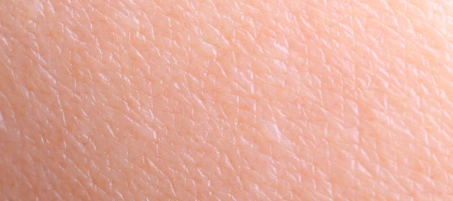 macro e zoom dell'epidermide della pelle